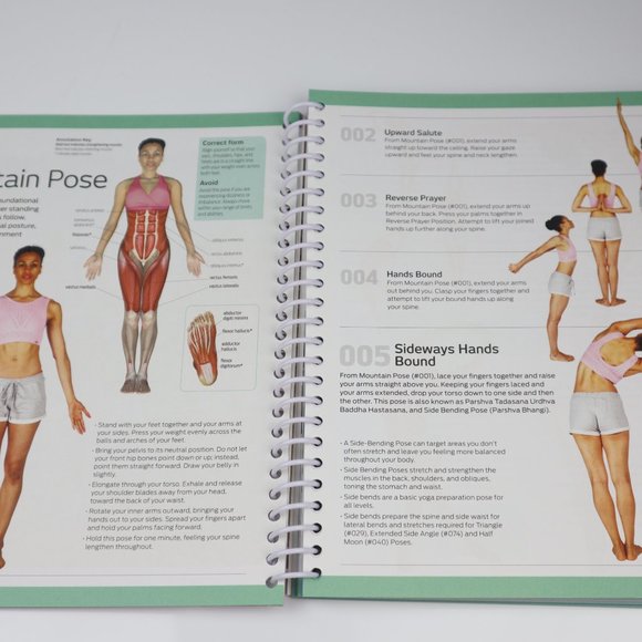 Anatomy of Fitness 501 Yoga Exercises - Picture 4 of 10